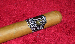 Panacea Connectcut - 1